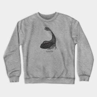 Y-Horned Treehopper Bug with Common and Scientific Names Crewneck Sweatshirt